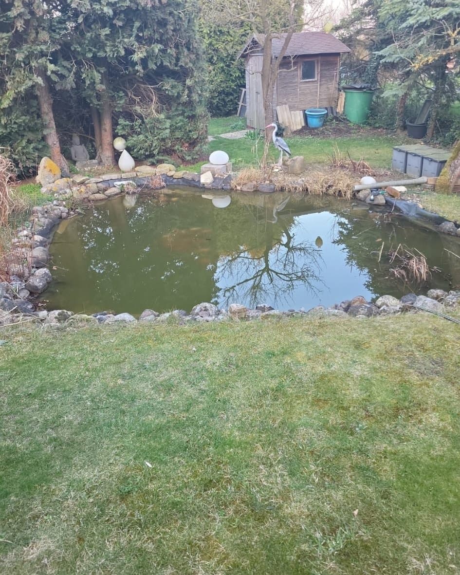 Angelegter Gartenteich mit Ufersteinen, davor eine gemähte Rasenfläche