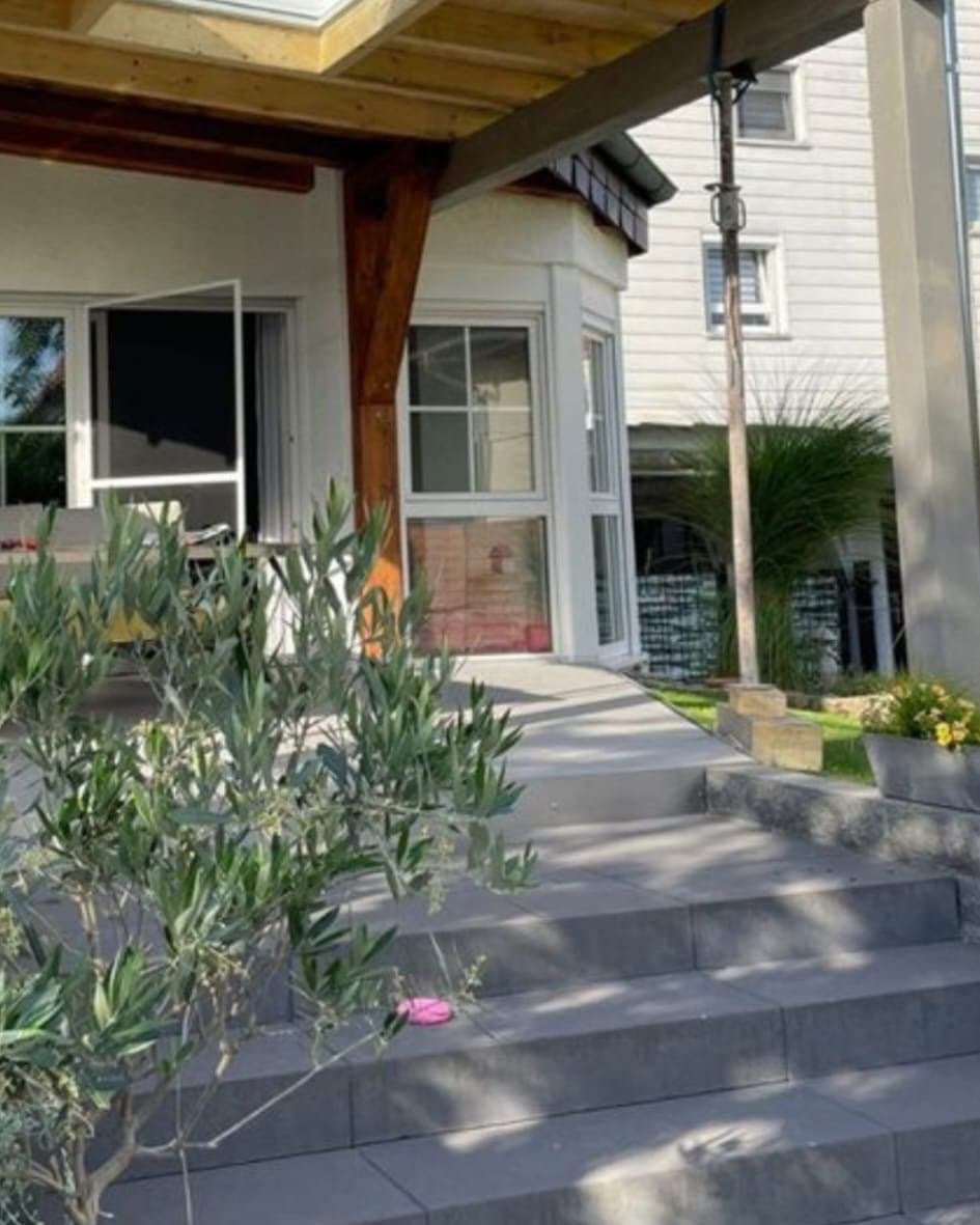 Überdachte Terrasse mit grauem Plattenbelag, breiten Stufen und einem Olivenbäumchen im Kübel